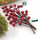 3 BEERENZWEIGE im Angebot bei Wreesmann in Cottbus 3 BEERENZWEIGE Angebote bei Wreesmann Cottbus für 1,99 €