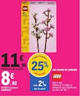 Promo Les fleurs de cerisier à 8,92 € dans le catalogue E.Leclerc à Vienne