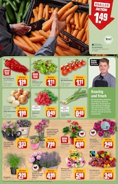 Rasen Angebot im aktuellen REWE Prospekt auf Seite 9