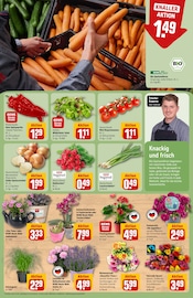 Ähnliche Erdbeerpflanzen Angebote im Prospekt "Dein Markt" von REWE in Oldenburg Ähnliche Angebote wie Erdbeerpflanzen im Prospekt "Dein Markt" auf Seite 9 von REWE in Oldenburg