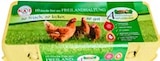 Aktuelles Frische Eier Angebot bei Kaufland in Magdeburg ab 3,39 €