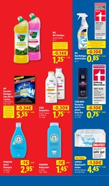 Haushaltsartikel im Lidl Prospekt in Sindelfingen Aktueller Lidl Prospekt mit Haushaltsartikel, "Der Preisführer macht Deutschland dauerhaft günstiger!", Seite 13