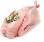 Frische junge Ente  im aktuellen Netto mit dem Scottie Prospekt für 5,79 €