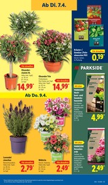 Gartenerde im Lidl Prospekt in Weiden Aktueller Lidl Prospekt mit Gartenerde, "LIDL LOHNT SICH", Seite 63