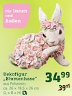 Dekofigur „Blumenhase“ Angebote bei Pflanzen Kölle Nürtingen für 34,99 €