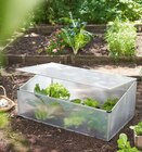 Mini serre de jardin - Lidl à Narbonne Mini serre de jardin en promo chez Lidl Narbonne à 24,99 €