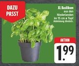 EDEKA Bergrheinfeld - XL Basilikum Angebot im Prospekt XL Basilikum bei EDEKA im Bergrheinfeld Prospekt für 1,99 €