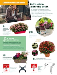 Prix et réduction Plante Verte dans le prospectus Truffaut en cours Offre Plante Verte dans le catalogue Truffaut du moment à la page 2