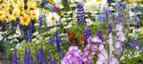 Pflanzen Kölle Borgsdorf - HERBSTGARTEN FÜR INSEKTEN Angebot im Prospekt HERBSTGARTEN FÜR INSEKTEN bei Pflanzen Kölle im Borgsdorf Prospekt für 5,99 €