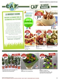 Prix et réduction Bricolage et Jardin dans le prospectus Géant Casino en cours Offre Bricolage et Jardin dans le catalogue Géant Casino du moment à la page 25