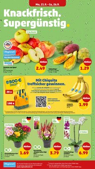 Aktueller Penny Prospekt "Wer günstig will, muss Penny." Aktueller Penny Prospekt