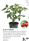 Bio Tomate Angebote bei Dehner Garten-Center Leverkusen für 3,49 €