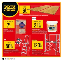 Offre Escabeau dans le catalogue Bricorama du moment à la page 6