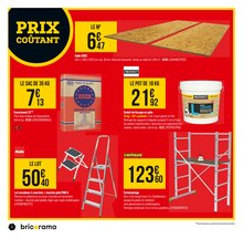 Promo Tondeuse À Gazon Électrique dans le catalogue Bricorama du moment à la page 6