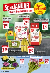 Aktueller EDEKA Prospekt mit Blumen, "Aktuelle Angebote", Seite 10