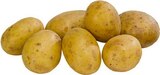 Aktuelles Kartoffel der Woche Premium 'Cilena' Angebot bei EDEKA in Hamm ab 1,99 €