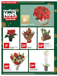 Offre Orchidée dans le catalogue Auchan Supermarché du moment à la page 8