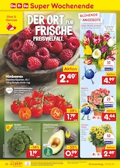 Aktueller Netto Marken-Discount Prospekt mit Tulpen, "Aktuelle Angebote", Seite 48