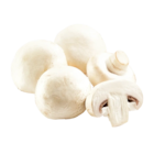 Champignons weiß im aktuellen Netto Marken-Discount Prospekt
