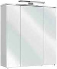 Aktuelles Spiegelschrank GELA Angebot bei Zurbrüggen in Bielefeld ab 99,99 €