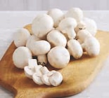 Super U Sainte-Bazeille - Promo Champignon blanc de paris pied entier Promo Champignon blanc de paris pied entier à 1,99 € dans le catalogue Super U à Sainte-Bazeille
