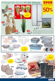 ROLLER Gartenpflanzen im Prospekt ROLLER Gartenpflanzen im Prospekt