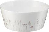 Müslischale lichtere Gräser weiß-braun Angebot in Altenbeken Müslischale lichtere Gräser weiß-braun im aktuellen Prospekt bei dm-drogerie markt in Altenbeken