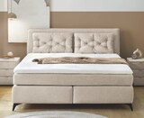 Boxspringbett Angebote bei BRAUN Möbel-Center Tübingen für 999,00 €