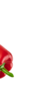 Wassermelone Angebot im ALDI Nord Prospekt Wassermelone im ALDI Nord Prospekt zum Preis von