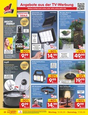 Blumentopf im Netto Marken-Discount Prospekt in Zwickau Aktueller Netto Marken-Discount Prospekt mit Blumentopf, "Aktuelle Angebote", Seite 50