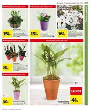 Promos Fleurs Artificielles dans le catalogue "Carrefour" de Carrefour à la page 57