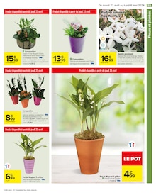 Promo Plantes dans le catalogue Carrefour du moment à la page 57