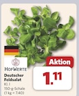 Deutscher Feldsalat Angebot in Salzbergen Deutscher Feldsalat im aktuellen Prospekt bei combi in Salzbergen