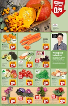 Rucola im REWE Prospekt "Dein Markt" mit 46 Seiten (Bonn)