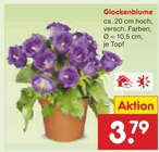 Glockenblume im Angebot bei Netto Marken-Discount in Kassel Glockenblume Angebote bei Netto Marken-Discount Kassel für 3,79 €