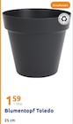 Aktuelles Blumentopf Toledo Angebot bei Action in Wuppertal ab 1,59 €