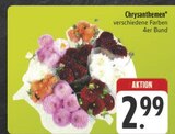 Chrysanthemen Angebote bei E center Bamberg für 2,99 €