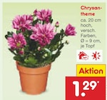 Aktuelles Chrysantheme Angebot bei Netto Marken-Discount in Erlangen ab 1,29 €