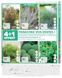 Offre Bambou dans le catalogue Carrefour du moment à la page 15