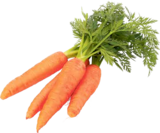 V-Markt Illertissen - Bundkarotten Angebot im Prospekt Bundkarotten bei V-Markt im Illertissen Prospekt für 0,99 €