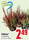 Calluna bei E center im Vilsbiburg Prospekt für 2,49 €