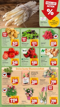 Gemüse im REWE Prospekt "Dein Markt" mit 30 Seiten (Rostock)