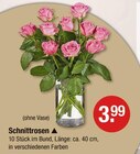 Aktuelles Schnittrosen Angebot bei V-Markt in Regensburg ab 3,99 €