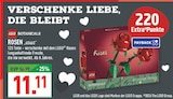 Aktuelles Botanicals Rosen 40460 Angebot bei Marktkauf in Düsseldorf ab 11,11 €