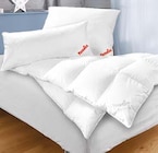 Aktuelles Kopfkissen „Sinfonie“ ca.  80x80 cm Angebot bei Schaffrath in Duisburg ab 49,99 €