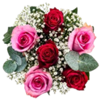 Aktuelles Tulpenstrauß Angebot bei Kaufland in Freiburg (Breisgau) ab 5,99 €