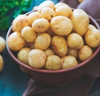 Speisekartoffeln "Pfälzer Grumbeere" im Angebot bei Netto Marken-Discount in Sankt Augustin Speisekartoffeln "Pfälzer Grumbeere" Angebote bei Netto Marken-Discount Sankt Augustin für 3,33 €