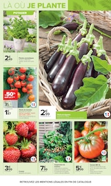 Tomate en promo dans le catalogue Carrefour à la page 8