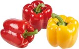 EDEKA Ennigerloh Prospekt mit  im Angebot für 1,11 €