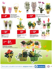 Promo Tulipes dans le catalogue Cora du moment à la page 27